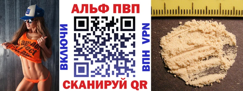 A-PVP СК  Шенкурск 